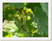 2007-08-12_16-06-26_Aout_160,0mm_1_200_eme_DiMAGE A2 * 2560 x 1920 * (3.04MB)